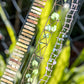 Garden Path Pattern PET Tape