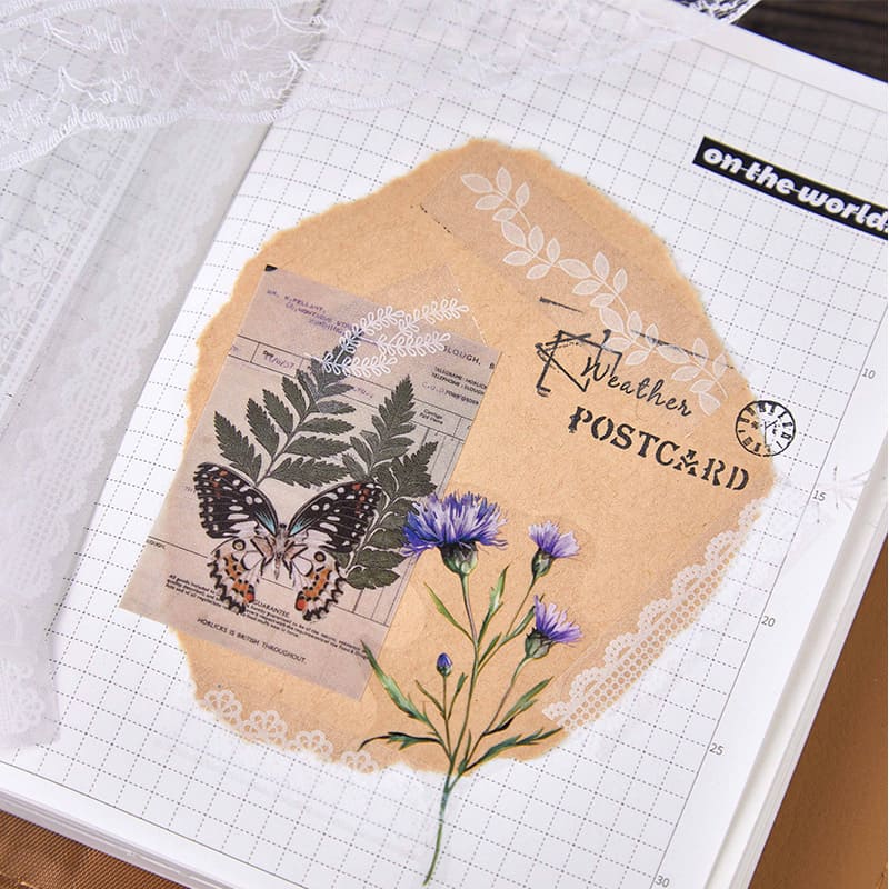 Lace Border Sticker Pack