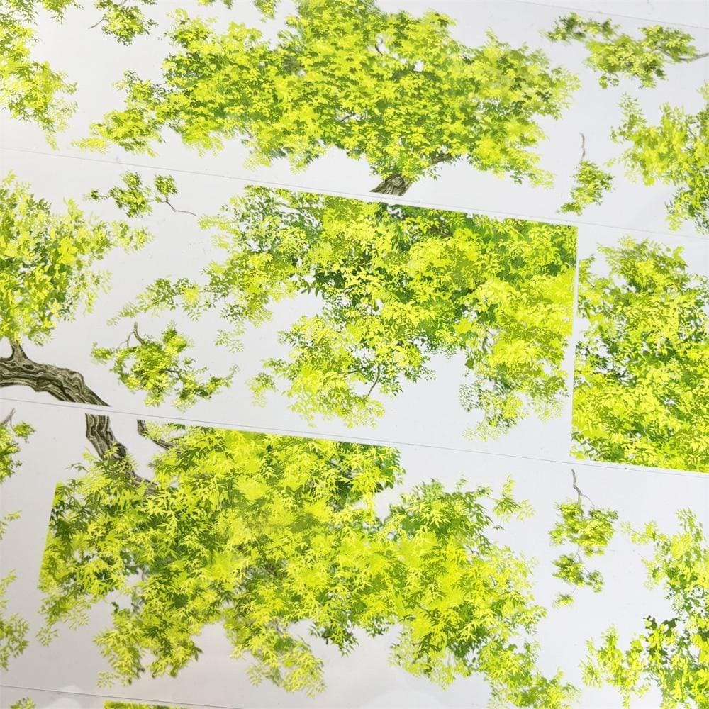 One Cycle Overhanging Tree Branches PET Tape