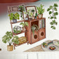 Die-Cutting My Forest House One Cycle PET Tape
