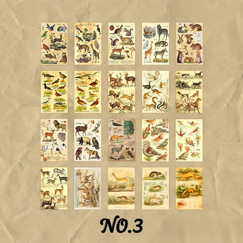 60PCS Nature Aesthetic Scrapbook Paper