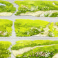 Spring Meadow PET Tape (One Cycle)