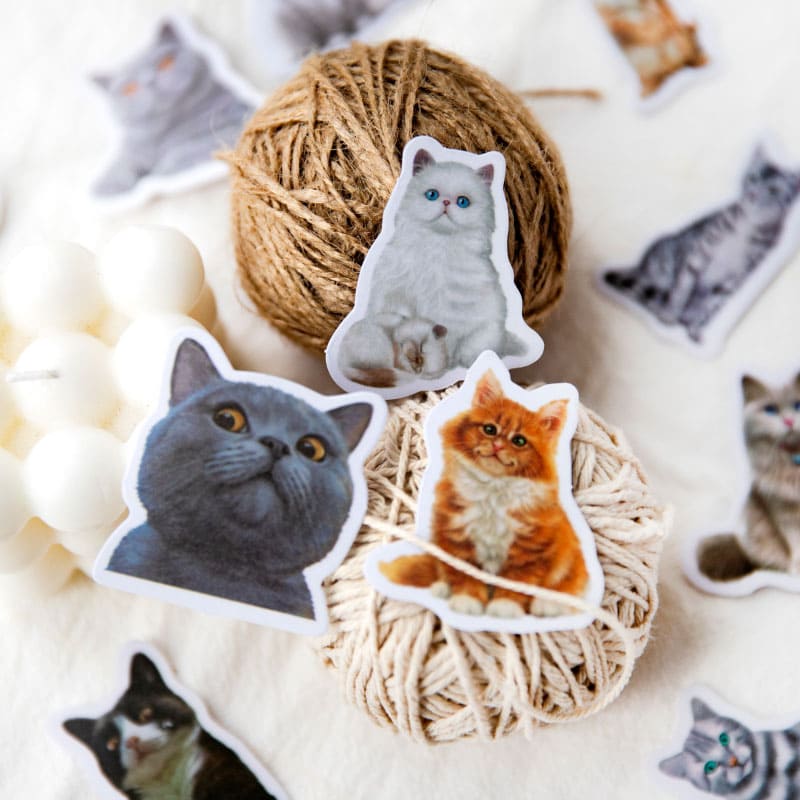 Vellum Cat Sticker Pack