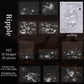 Nature Theme Sticker Pack