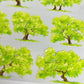 Lush Summer Trees One Cycle PET Tape