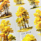 Fall Foliage Tree Tape (One Cycle)