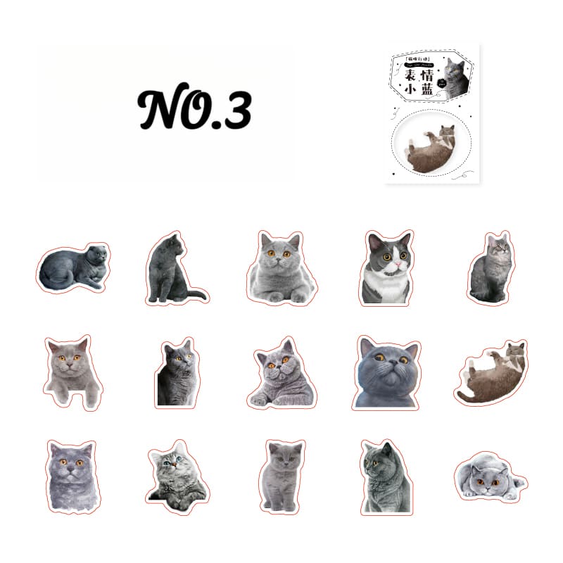 Vellum Cat Sticker Pack