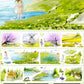 7cm*104cm Pastoral Style One Cycle Tape（Die-Cutting）