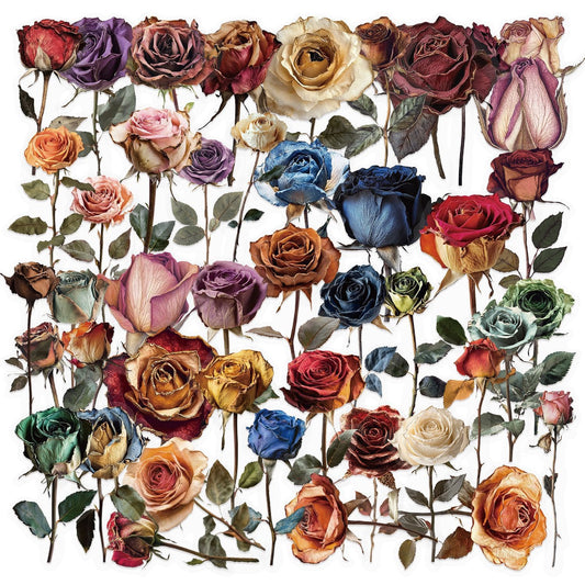 50PCS Dry Rose Sticker