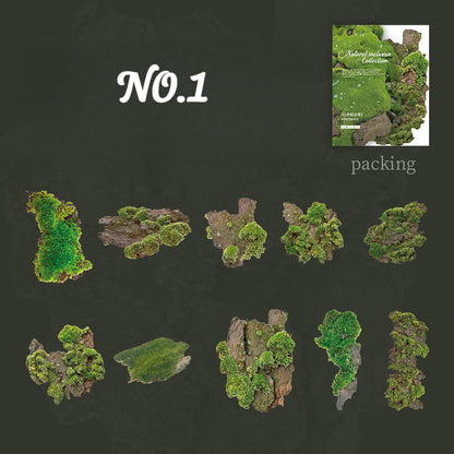 Natural Texture Sticker Pack