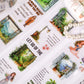 Window Scenery Theme  PET Tape