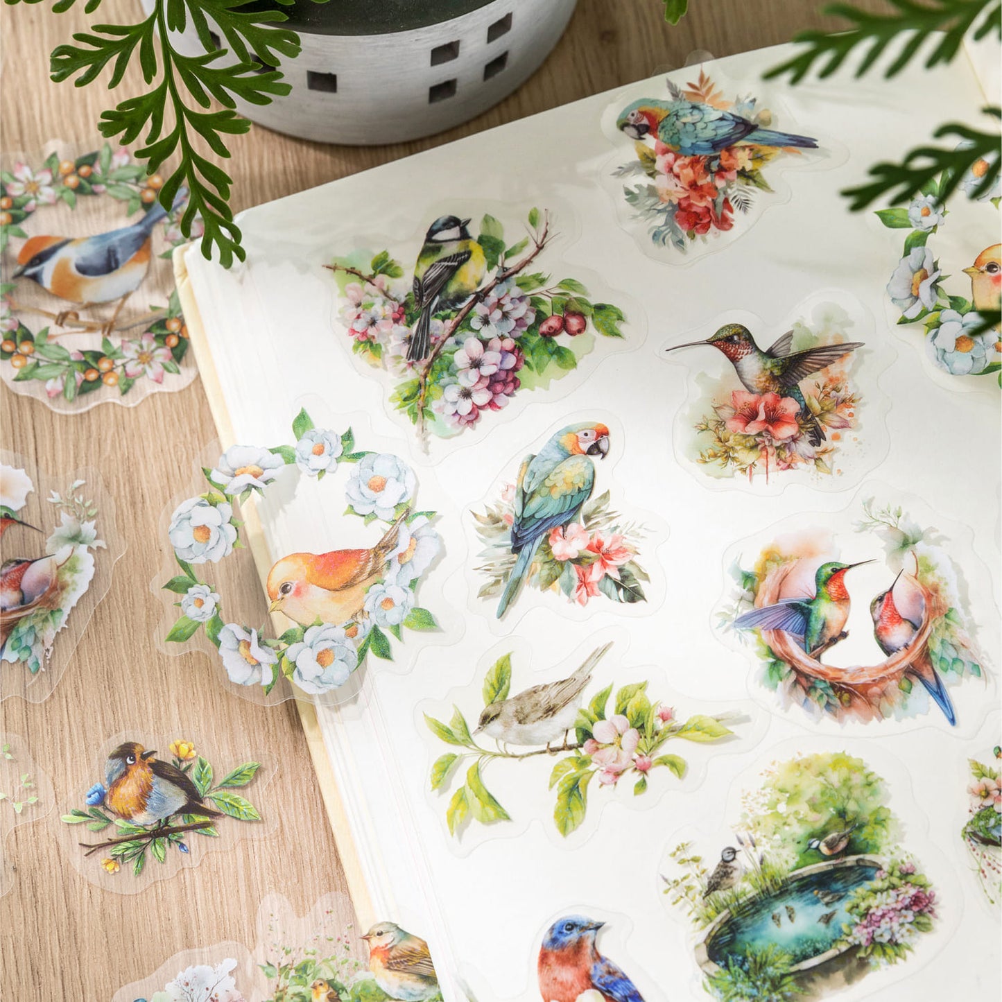 Bird Series Stickers
