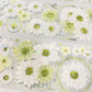 Cute Daisy Flower One Cycle PET Tape