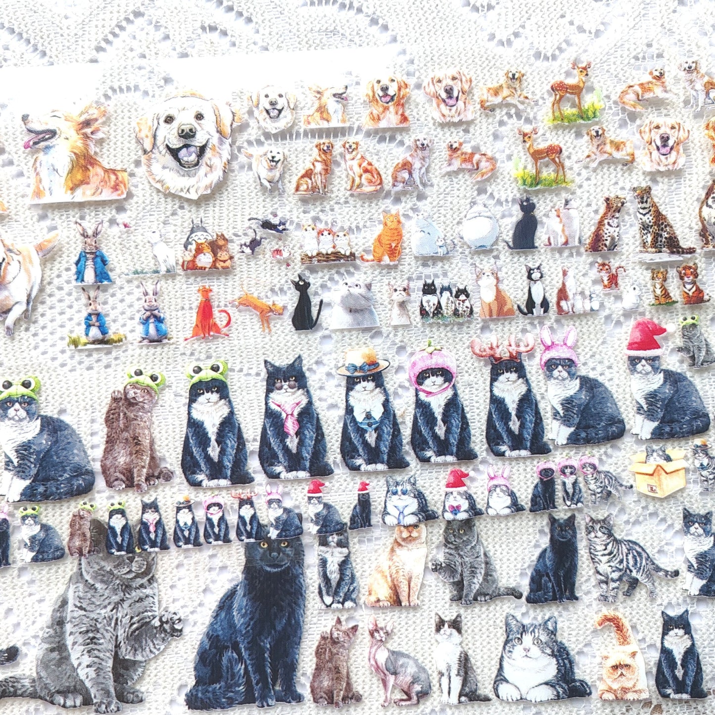 Cute Animal Theme One Cycle PET Tape