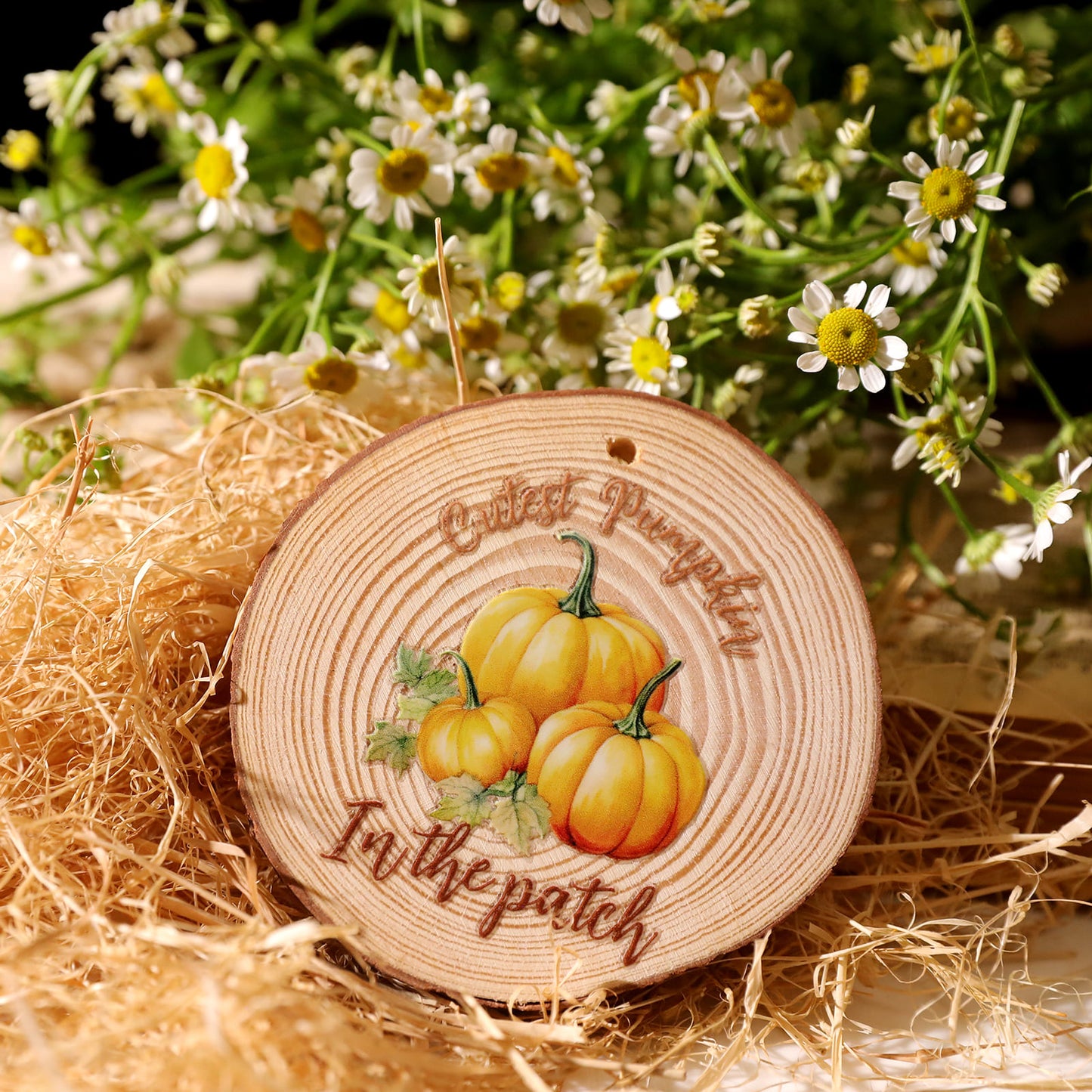 Autumn Theme Transfer Sticker