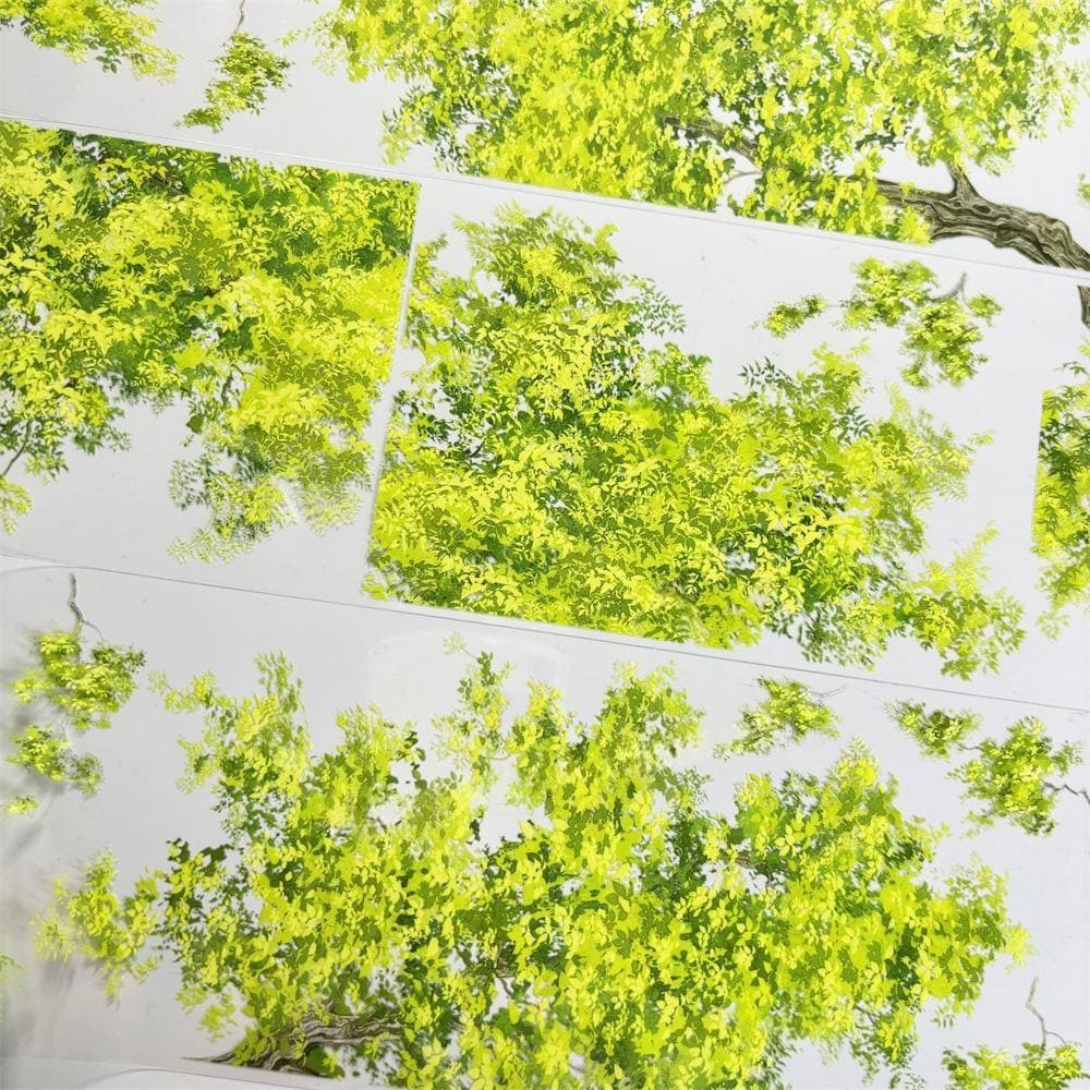 One Cycle Overhanging Tree Branches PET Tape