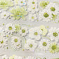 Cute Daisy Flower One Cycle PET Tape