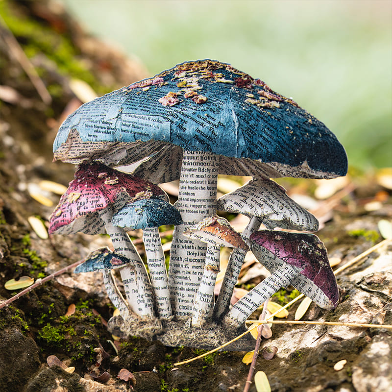 Nature Hard Card Sticker Pack