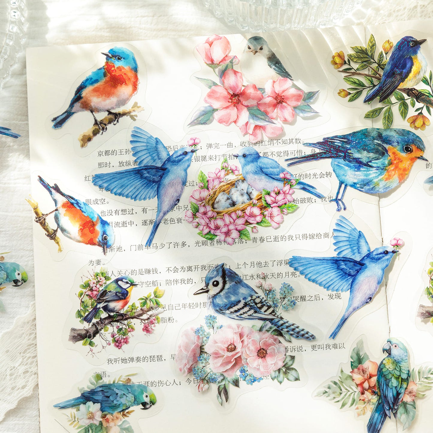 Bird Series Stickers