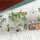 Die-Cutting My Forest House One Cycle PET Tape