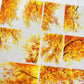 One Cycle Autumn Foliage PET Tape