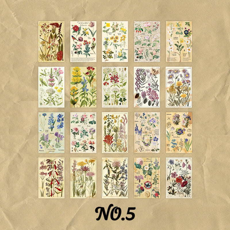 60PCS Nature Aesthetic Scrapbook Paper