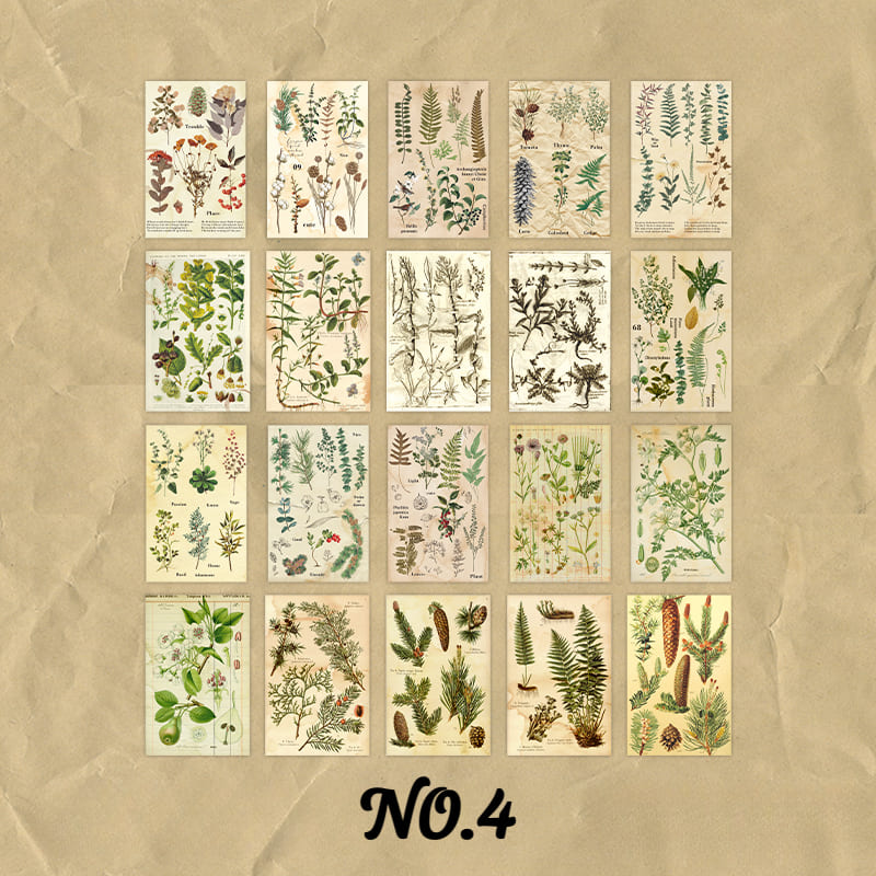 60PCS Nature Aesthetic Scrapbook Paper