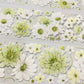 Cute Daisy Flower One Cycle PET Tape