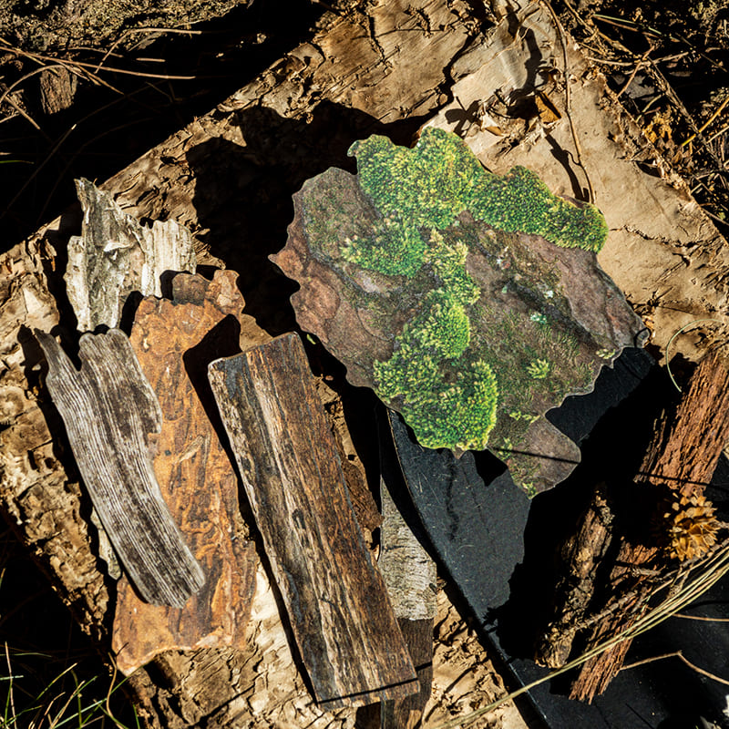 Natural Texture Sticker Pack