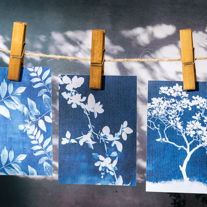 Blue Botanical Scrapbook Paper Pack
