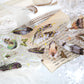 Nature Themed Stickers