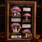 Mushroom Theme Sticker Pack