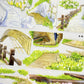 Scenic Bridges One Cycle PET Tape