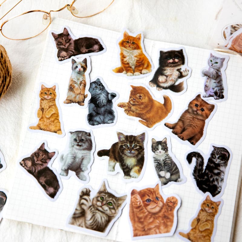 Vellum Cat Sticker Pack