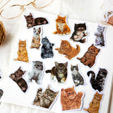 Vellum Cat Sticker Pack