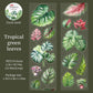 Tropical Landscape Series PET Tape