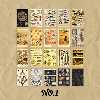 60PCS Nature Aesthetic Scrapbook Paper