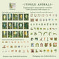 100PCS Jungle Adventure Sticker Set flat lay