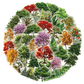 50PCS Trees Series Stickers