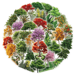 50PCS Trees Series Stickers