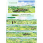 Mountain Forest Series Extra Long Loop Tape