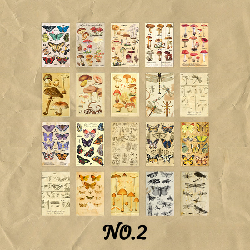 60PCS Nature Aesthetic Scrapbook Paper