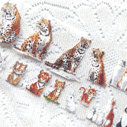 Cute Animal Theme One Cycle PET Tape